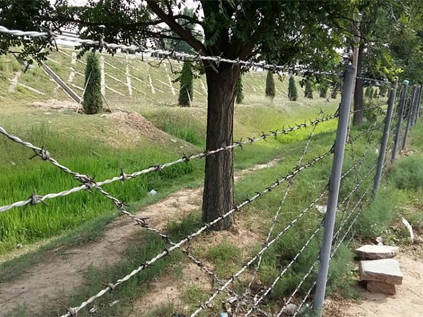 刺繩護欄網