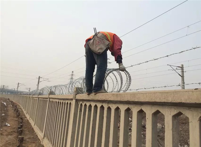 刺絲滾籠 刺絲滾籠