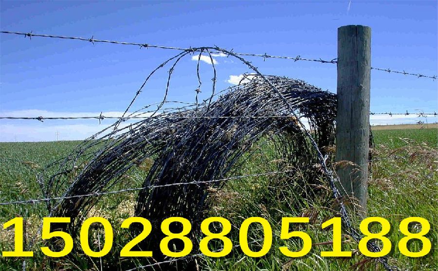 刺鐵絲安裝 刺鐵絲安裝