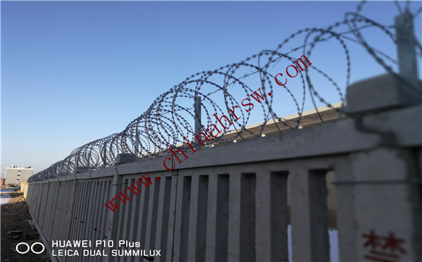 IMG_20180129_082003.jpg IMG_20180129_082003.jpg