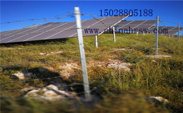 刺絲圍欄網 刺絲圍欄網