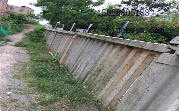 mmexport1525208034910.jpg mmexport1525208034910.jpg