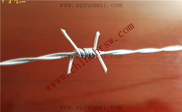 帶刺鐵絲網(wǎng) 帶刺鐵絲網(wǎng)