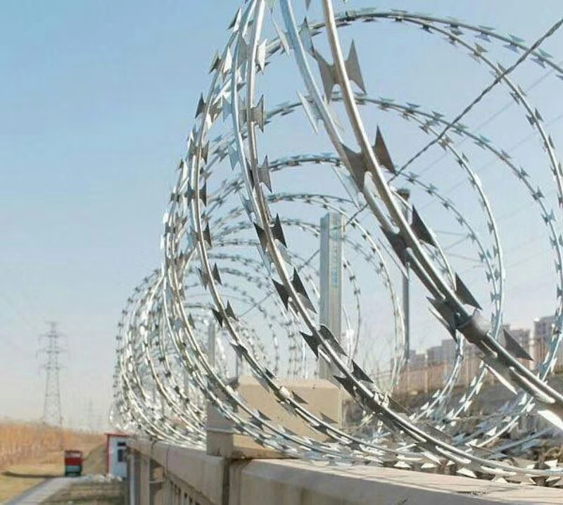 mmexport1516319509543.jpg mmexport1516319509543.jpg