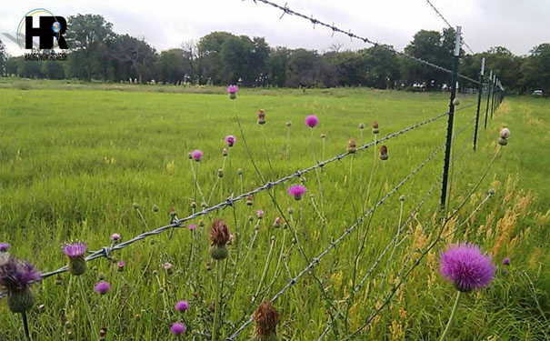 298703005730985090.jpg 298703005730985090.jpg