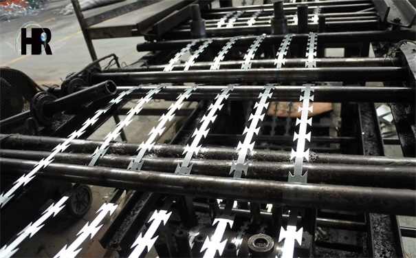 DSC_0215.JPG DSC_0215.JPG