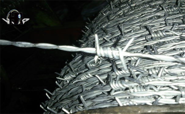 DSC_1392.jpg DSC_1392.jpg