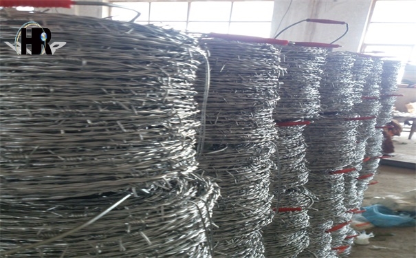 DSC_0334.jpg DSC_0334.jpg